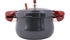 Nồi áp suất Poong Nyun JSPC-24CV 6 lít giá tốt tại Nguyễn Kim