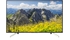 Tivi Android Sony 55 inch BRAVIA KD-55X7500F mặt trước