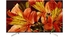 android-tivi-sony-4k-43-inch-kd-43x8500f-1
