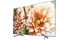 android-tivi-sony-4k-49-inch-kd49x8500g-s-2