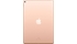 10041970_MAY-TINH-BANG_APPLE_IPAD-AIR_WI-FI-256GB-GOLD-ITS_MUUT2ZA-A_04