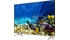 Android Tivi Panasonic 4K 43 Inch TH-43GX650V mặt nghiêng phải