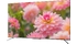 android-qled-tivi-tcl-4k-55-inch-l55c715-2