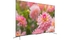 android-qled-tivi-tcl-4k-55-inch-l55c715-3