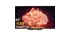 Smart Tivi OLED LG 4K 65 inch OLED65B1PTA mặt chính diện