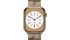 Apple Watch S8 LTE 45mm viền thép dây thép màu Vàng MNKQ3VN/A chính diện